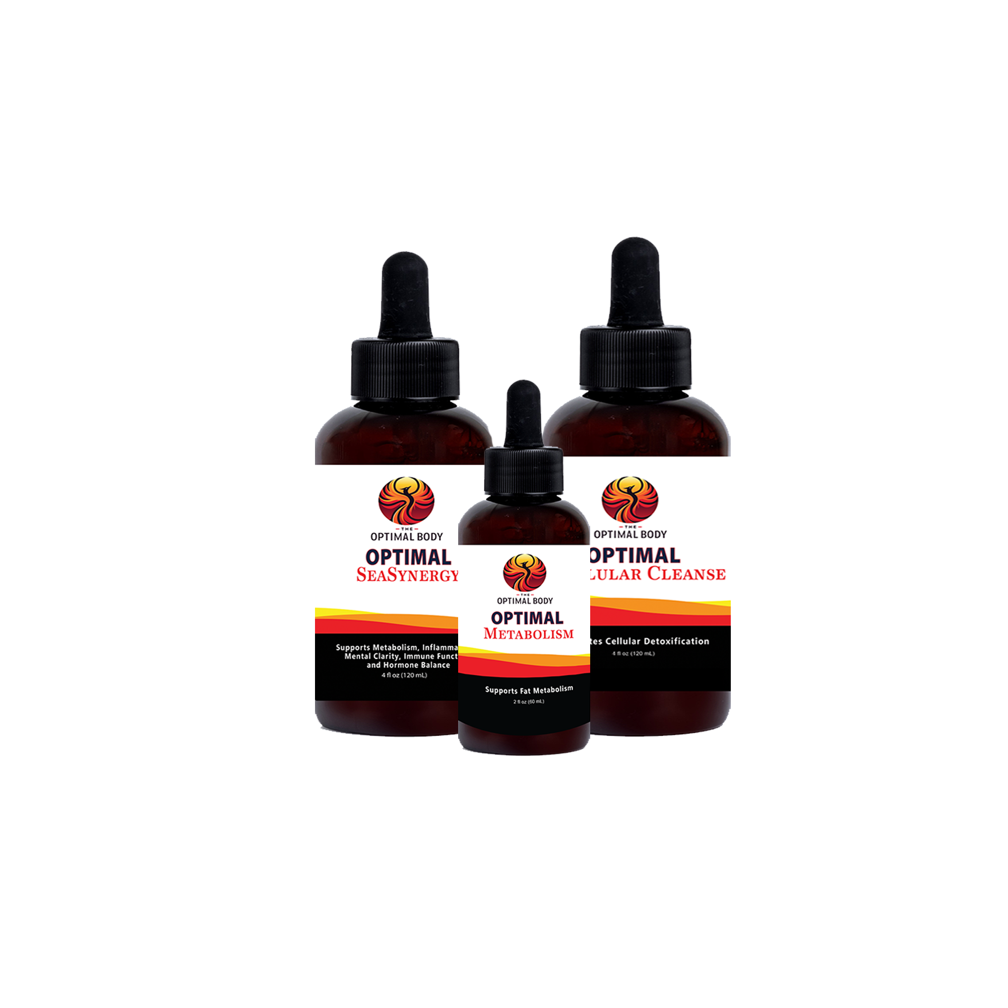 Refresh Bundle (NEW)